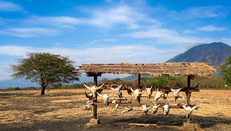 Baluran (Afrika Van Java)