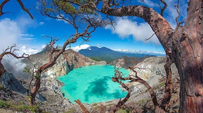 Djawatan, Baluran, Kawah Ijen
